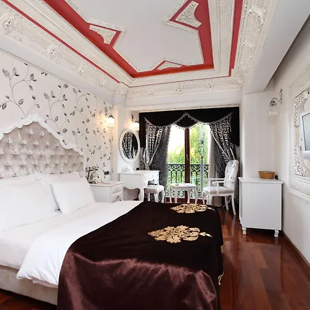 Deluxe Golden Horn Sultanahmet Hotel 4*