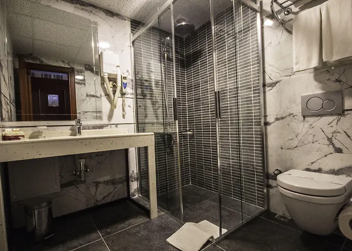 Отель Deluxe Golden Horn Sultanahmet 4*